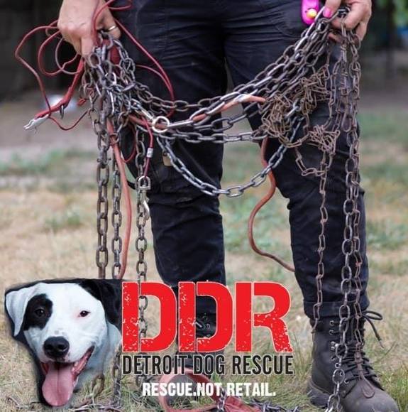 Meet your Posher, Jackie - Picture 1 of 1